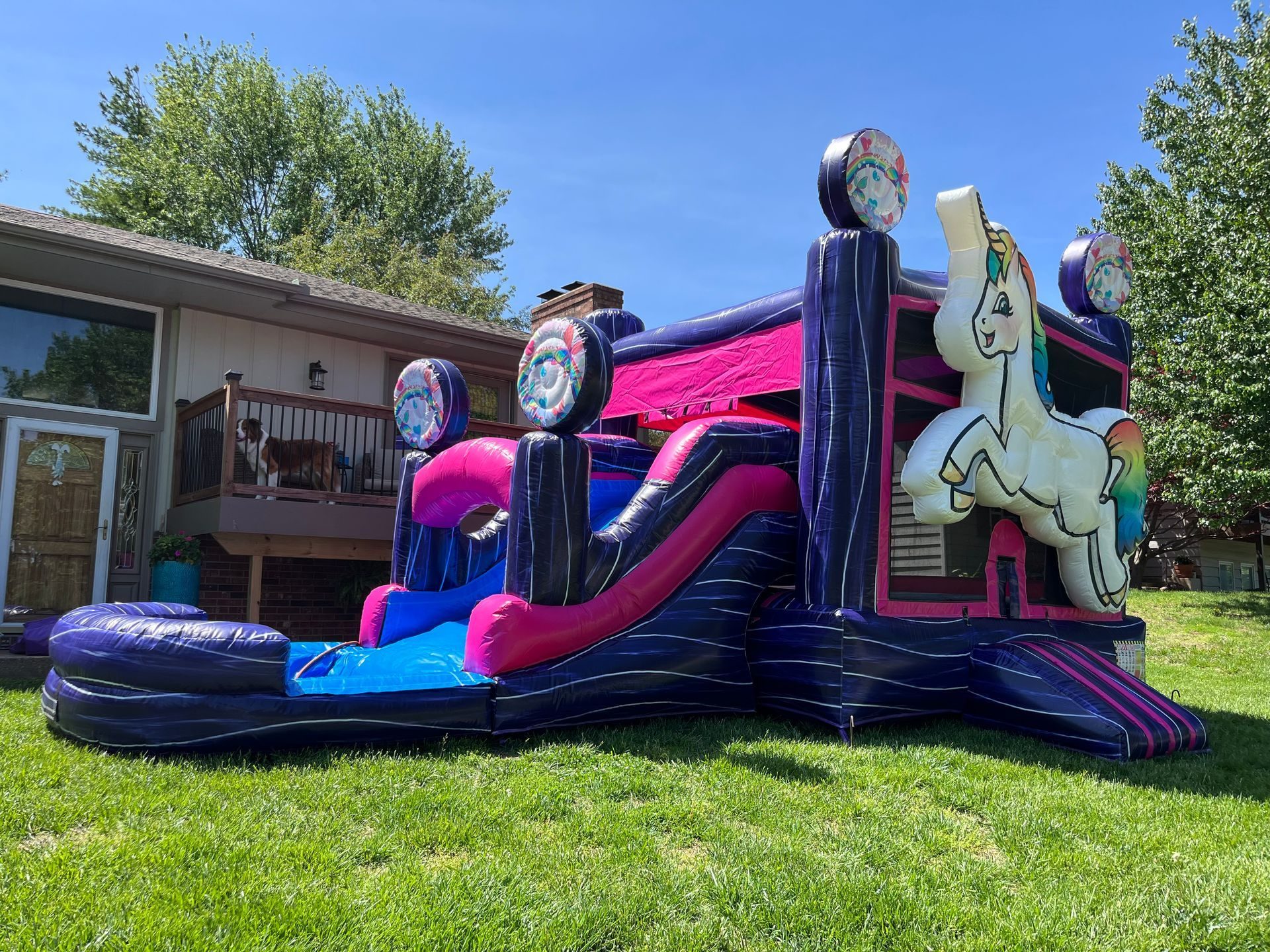 Unicorn Combo with Pool inflatable rental in Topeka, Kansas